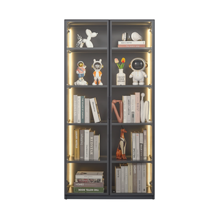 Best selling new design double door metal glass display storage cabinet  with light strip for living room