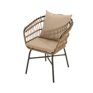 Outdoor Patio chair with cushions(Set of 2)