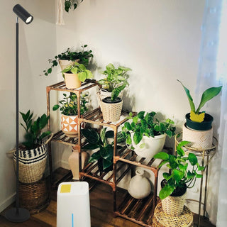 Grow Light Stand for Indoor Plants - Full Spectrum LED Lamp with 20W COB Bulb, 4/8/12H Timer, Adjustable Height (6 Levels), Floor Lamp for Seedlings & Large Plants