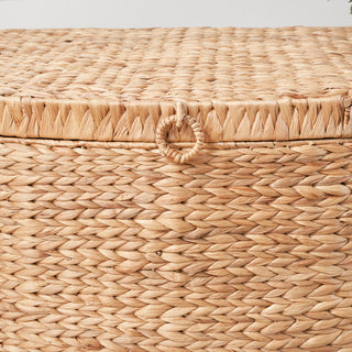 Rectangular Curve Water Hyacinth Woven Wicker Trunk with Handles - 26" x 19" x 14" - Natural Brown - For Clothes, Toys, Magazines and Book Storage