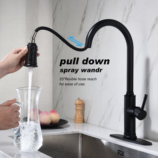 Kitchen Faucet with Pull Out Spraye