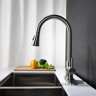 Kitchen Faucet with Pull Out Sprayer