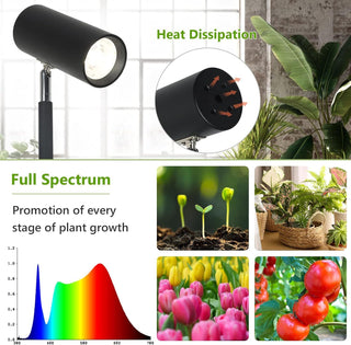 Grow Light Stand for Indoor Plants - Full Spectrum LED Lamp with 20W COB Bulb, 4/8/12H Timer, Adjustable Height (6 Levels), Floor Lamp for Seedlings & Large Plants