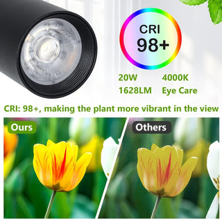 Grow Light Stand for Indoor Plants - Full Spectrum LED Lamp with 20W COB Bulb, 4/8/12H Timer, Adjustable Height (6 Levels), Floor Lamp for Seedlings & Large Plants