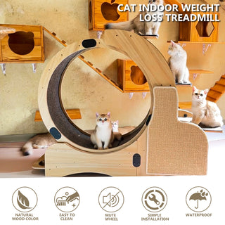 5-in-1 Cat Sports Running Wheel, Cats Wheel Wood Climbing Frame, Cat Litter Fitness Wheel, Oversized Roller Cat Indoor Activity Center,Large(Right)