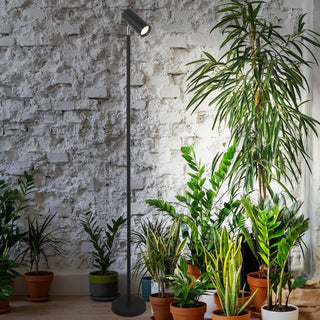 Grow Light Stand for Indoor Plants - Full Spectrum LED Lamp with 20W COB Bulb, 4/8/12H Timer, Adjustable Height (6 Levels), Floor Lamp for Seedlings & Large Plants