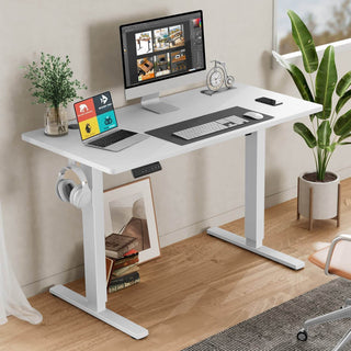 Electric Height Adjustable Standing Desk, Sit to Stand Ergonomic Computer Desk,White,55x24in