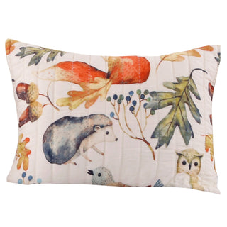 26 x 20 Inches Standard Pillow Sham with Fox and Owl Print, Multicolor