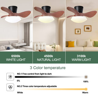 24'' walnut Small Ceiling Fan with Lights and Remote  LED 18W Modern  Flush Mount Ceiling Fan Adjustable Color,DC Quiet Motor Low Profile Ceiling Fan for Bedroom Kitchen Dining Patio,FCC