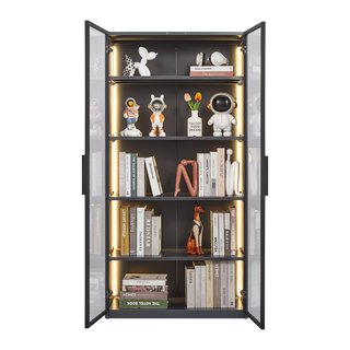 Best selling new design double door metal glass display storage cabinet  with light strip for living room