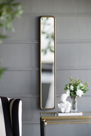 47" x 8" Full Length Mirror with Antique Gold Metal Frame, Long Mirror for Hallway Living Room Bedroom Bathroom