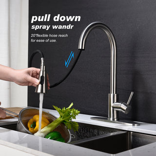 Kitchen Faucet with Pull Out Sprayer