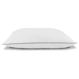 RX2PK (2 Pack Pillows)