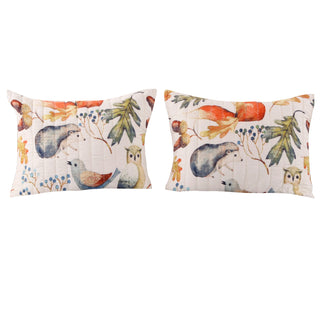 26 x 20 Inches Standard Pillow Sham with Fox and Owl Print, Multicolor