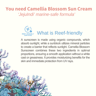 [JEJU INDI] Blossom Sun Cream 50ml