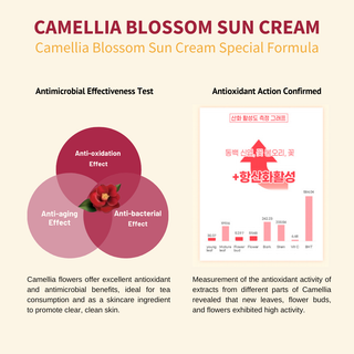 [JEJU INDI] Blossom Sun Cream 50ml