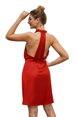 Spring Fling Backless Dress for Women