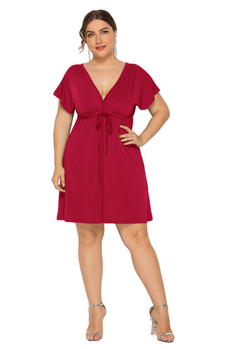 Women's Plus Size Deep V Solid Dress