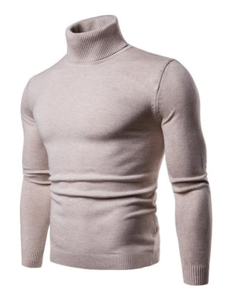 Men? Solid Color Long Sleeve Turtleneck Sweater Top