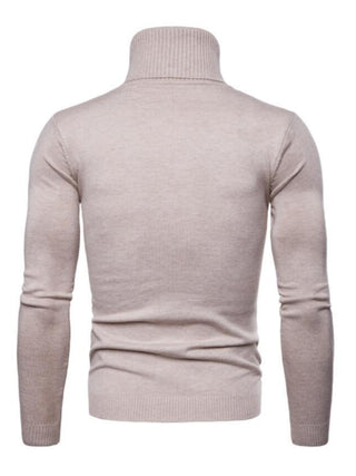 Men? Solid Color Long Sleeve Turtleneck Sweater Top