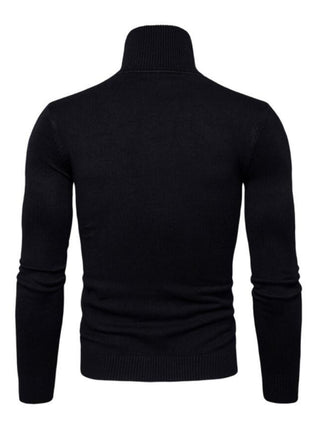 Men? Solid Color Long Sleeve Turtleneck Sweater Top