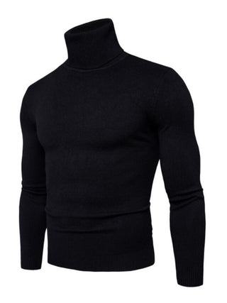 Men? Solid Color Long Sleeve Turtleneck Sweater Top