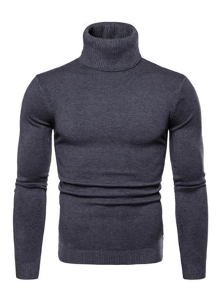 Men? Solid Color Long Sleeve Turtleneck Sweater Top