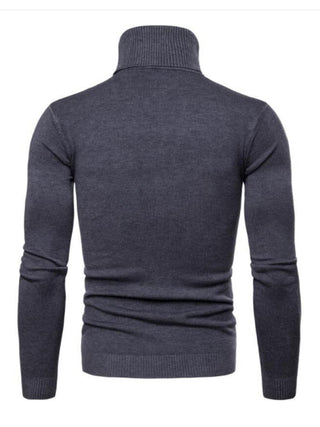 Men? Solid Color Long Sleeve Turtleneck Sweater Top