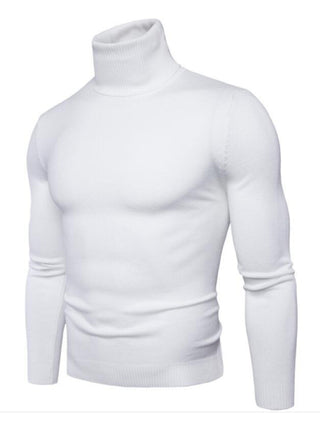 Men? Solid Color Long Sleeve Turtleneck Sweater Top