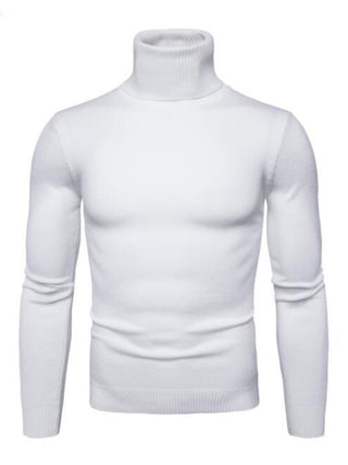 Men? Solid Color Long Sleeve Turtleneck Sweater Top