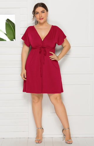 Women's Plus Size Deep V Solid Dress