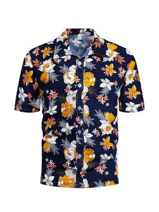 Men's Summer Hawaiian Short-sleeved Shirt / Top