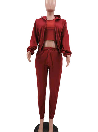 Women's Knitted Casual Sports Fleece Hooded Three-piece Suit